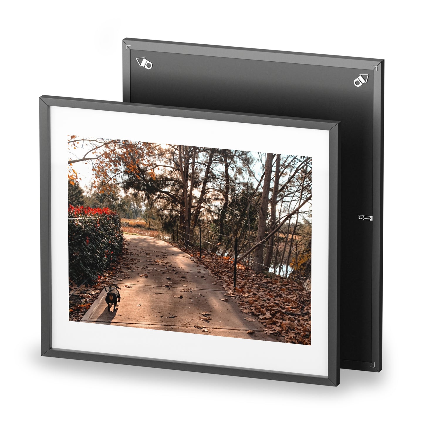 Huey's Walk Framed Picture