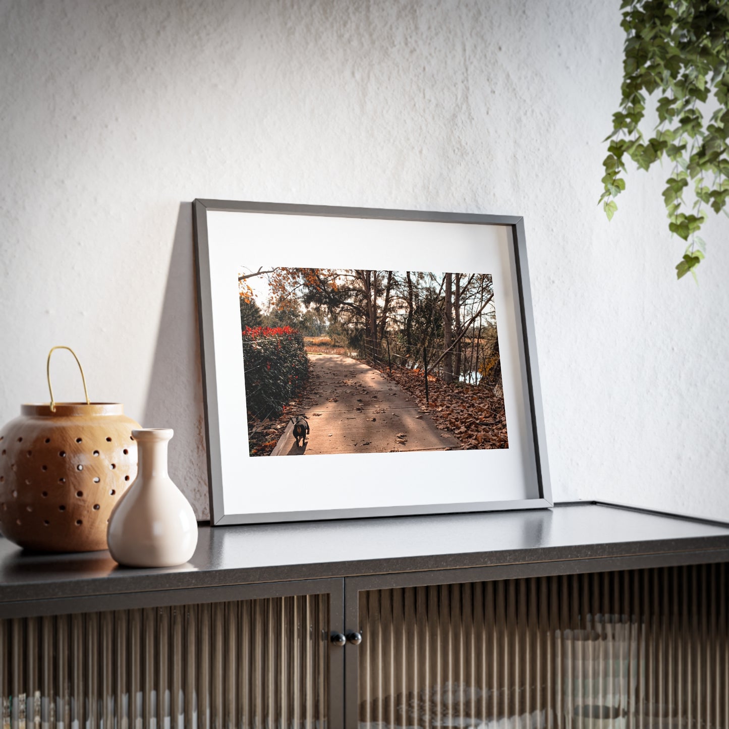 Huey's Walk Framed Picture